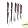 Set de 5 couteaux CarbonWood 1